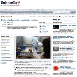 SCIENCE DAILY 10/04/13 Biofilm Helps Salmonella Survive Hostile Conditions