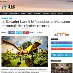 Le Salvador bannit le Roundup de Monsanto et connaît des récoltes records