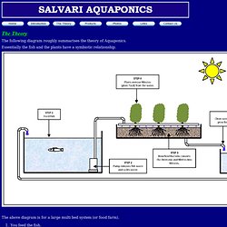 Salvari - Introduction