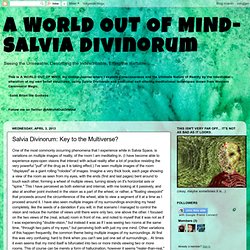 Salvia Divinorum: Key to the Multiverse?