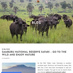 Samburu National Reserve Safari – Go To The Wild And Enjoy Nature - African Jesmal Safari