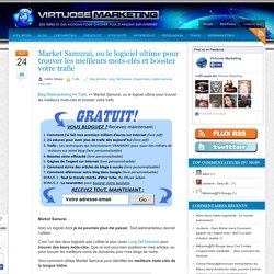Market Samurai et les mots-clés de la longue traine Virtuose-Marketing