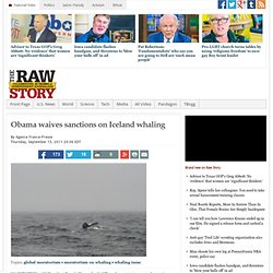 Obama waives sanctions on Iceland whaling