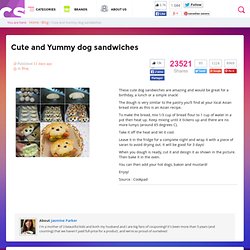Cute and Yummy dog sandwiches