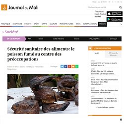 Sécurité sanitaire des aliments: le poisson fumé au centre des préoccupations - Journal du Mali
