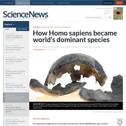 How Homo sapiens became world’s dominant species