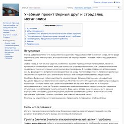 Учебный проект Верный друг и страдалец мегаполиса — Saratov FIO Wiki