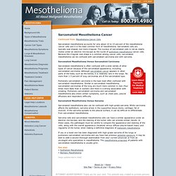 Sarcomatoid Mesothelioma Cancer - Mesothelioma Cancer Cells