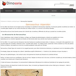 Sarcosuchus Imperator. Sa Decouverte. En Images . Dinosoria