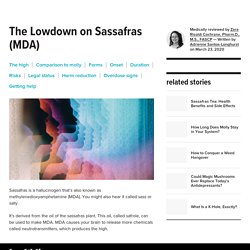 Sassafras Drug: What It Feels Like and Comparison to Molly