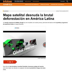 Mapa satelital desnuda la brutal deforestación en América Latina