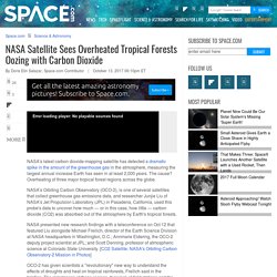 NASA Satellite Sees Overheated Tropical Forests Oozing with Carbon Dioxide