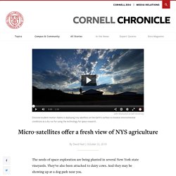 CORNELL_EDU 23/10/19 Micro-satellites offer a fresh view of NYS agriculture