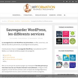 Sauvegarder WordPress, les différents services - WP Formation