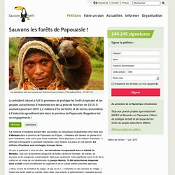 Sauvons les forêts de Papouasie