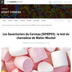 Les Savanturiers du Cerveau (1) : le test du chamallow de Walter Mischel