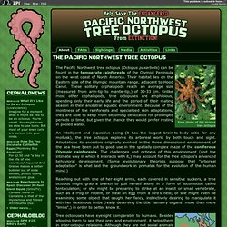 Save The Pacific Northwest Tree Octopus