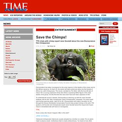 Save the Chimps!