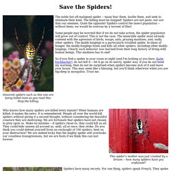 Save the Spiders!