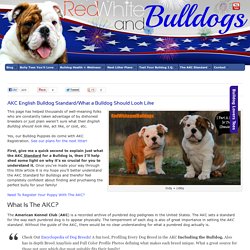 Save Yourself Some Pain. Know The Bulldog AKC Standard!