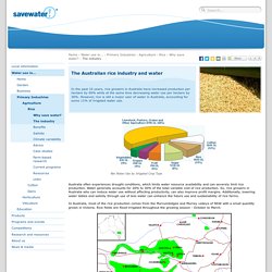 savewater.com.au - The Australian rice industry and water