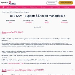 Tout savoir sur le BTS Support à l'Action Managériale (SAM)