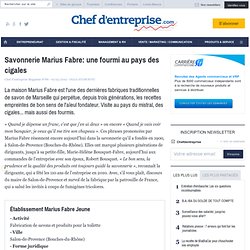 Savonnerie Marius Fabre: une fourmi au pays des cigales - LA SAGA - Marie-Hélène Bousquet-Fabre, directrice générale d'Etablissement Marius Fabre Jeune