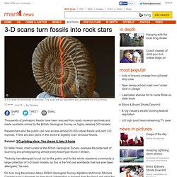 3-D scans turn fossils into print replicas