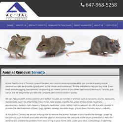 Animal Removal Toronto