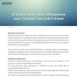 10 Scary Facts About Mosquitoes And Termites You Didn't Know