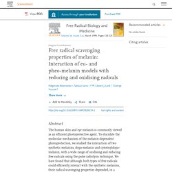 Free radical scavenging properties of melanin: Interaction of eu- and pheo-melanin models with reducing and oxidising radicals