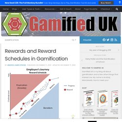 Rewards and Reward Schedules in Gamification - Andrzej's Blog