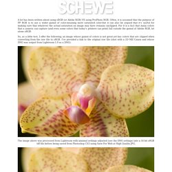 Schewe Photo -sRGB VS ProPhoto RGB