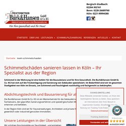 Schimmelschäden sanieren in und um Köln – Burk & Hansen GmbH & Co. KG