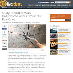 Study: Schizophrenia's Hallucinated Voices Drown Out Real Ones