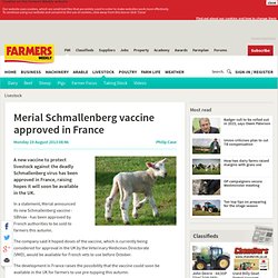 Merial Schmallenberg vaccine approved in France - 19/08