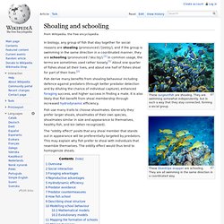 Shoaling and schooling