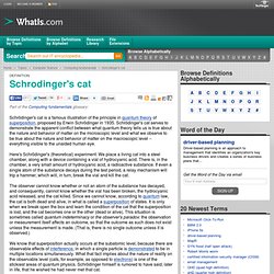 What is Schrodinger's cat? - Definition from WhatIs