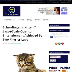 Schrodinger's 'Kitten'? Large-Scale Quantum Entanglement Achieved By Two Physics Labs