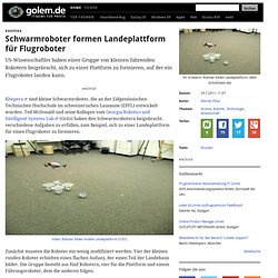 Khepera: Schwarmroboter formen Landeplattform für Flugroboter