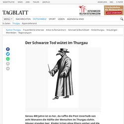 Der Schwarze Tod wütet im Thurgau