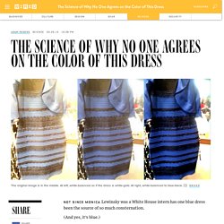 The Science of Why No One Agrees on the Color of This Dress