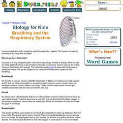 Science for Kids: Breathing and the Respiratory System