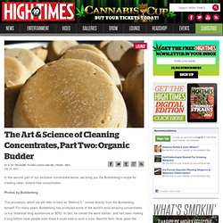The Art & Science of Cleaning Concentrates, Part Two: Organic Budder