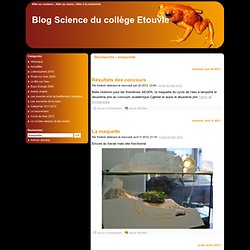 Blog Science du collège Etouvie - thème dotclear 2