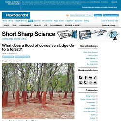 What does a flood of corrosive sludge do to a forest?