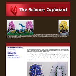 The Science Cupboard - Crystal Trees