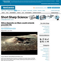 Silica deposits on Mars could entomb possible life
