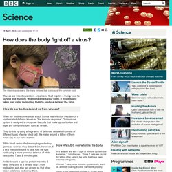 BBC Science - How does the body fight off a virus?