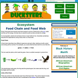 Science for Kids: Food Chain and Web